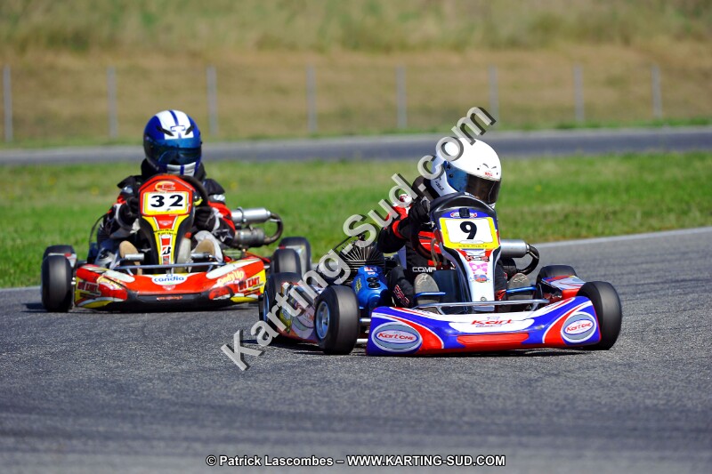 DSC_ (1333).jpg